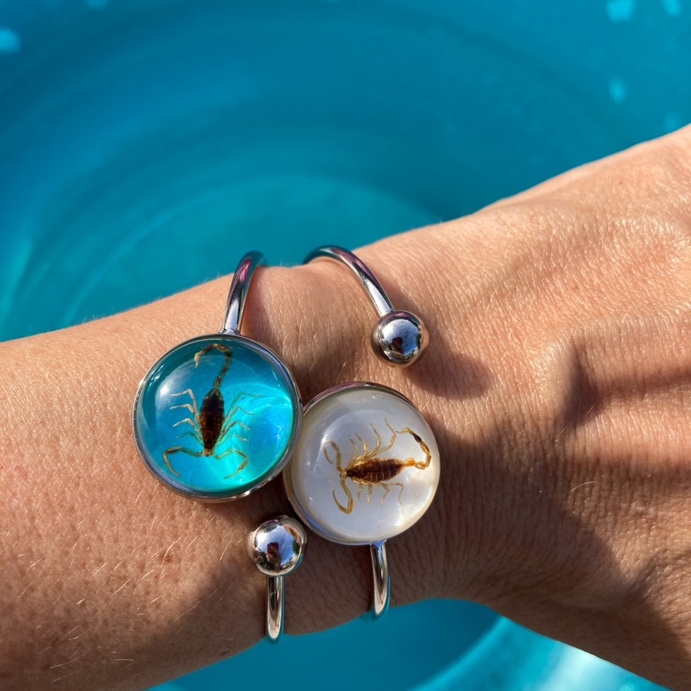 Real Scorpion Bracelet Scorpio Resin Taxidermy Gold plated Stainless Steel Twist